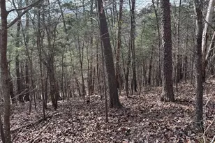 292 Shirley Rd SE, Ranger, GA 30734 - Photo 72