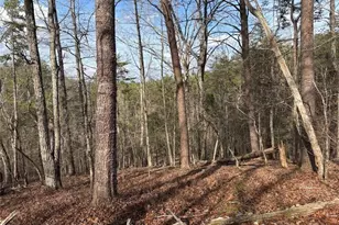 292 Shirley Rd SE, Ranger, GA 30734 - Photo 20