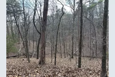 292 Shirley Road SE, Ranger, GA 30734 - Photo 66