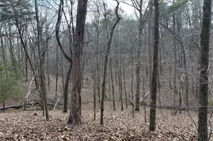 292 Shirley Rd SE, Ranger, GA 30734 - Photo 66