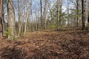 292 Shirley Rd SE, Ranger, GA 30734 - Photo 74