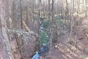 216 Sourwood Dr, Blue Ridge, GA 30513 - Photo 64