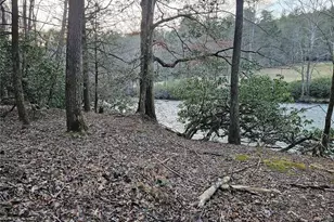 216 Sourwood Dr, Blue Ridge, GA 30513 - Photo 70