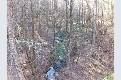 216 Sourwood Drive, Blue Ridge, GA 30513 - Photo 58