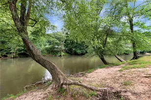 6 Spalding Ct, Ellijay, GA 30540 - Photo 56