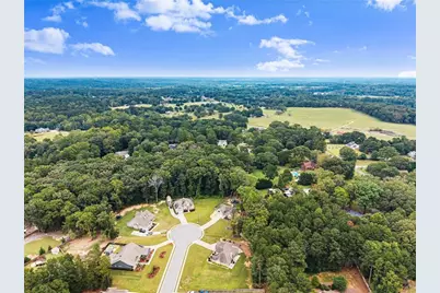 59 Arbor Point, Bethlehem, GA 30620 - Photo 46