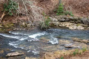 164 Waterdance Trl, Blue Ridge, GA 30513 - Photo 10