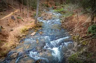 164 Waterdance Trl, Blue Ridge, GA 30513 - Photo 8