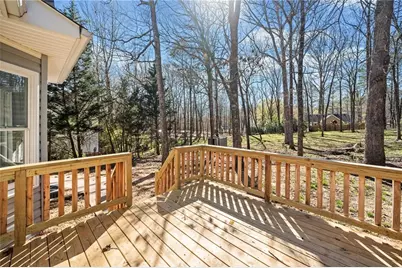 228 Hawkins Farm Circle, Ball Ground, GA 30107 - Photo 34