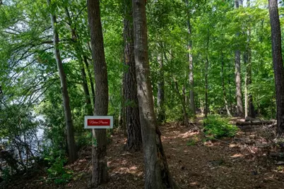 1231 Spinnaker Road, Buckhead, GA 30625 - Photo 76