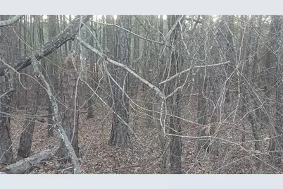 90 Harville Road, Covington, GA 30016 - Photo 4