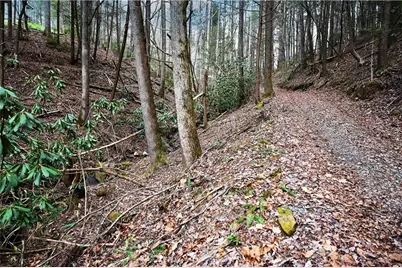 00 Hemlock Road, Ellijay, GA 30540 - Photo 56