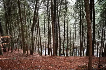 00 Hemlock Road, Ellijay, GA 30540 - Photo 24