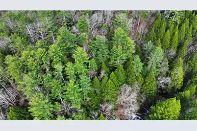 00 Hemlock Road, Ellijay, GA 30540 - Photo 16