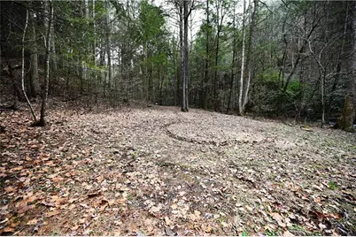 00 Hemlock Road, Ellijay, GA 30540 - Photo 46