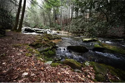 00 Hemlock Road, Ellijay, GA 30540 - Photo 34