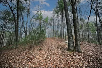 00 Hemlock Road, Ellijay, GA 30540 - Photo 26