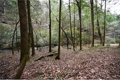 00 Hemlock Road, Ellijay, GA 30540 - Photo 42