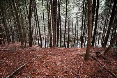 00 Hemlock Road, Ellijay, GA 30540 - Photo 22