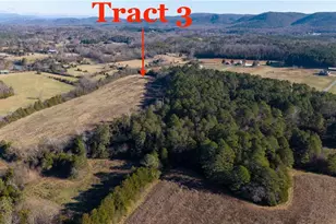 000 Liberty Church Rd, Ranger, GA 30734 - Photo 1