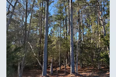 000 Liberty Church Road, Ranger, GA 30734 - Photo 18