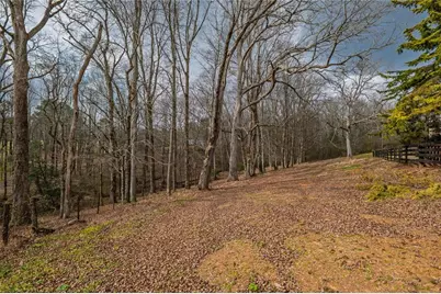 250 Frank Bruce Road, Dawsonville, GA 30534 - Photo 108