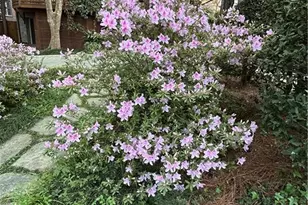 1686 Johnson Rd NE, Atlanta, GA 30306 - Photo 54