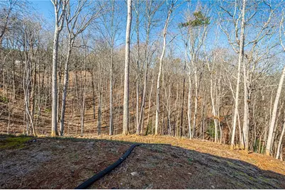 1415 Calhoun Road, Dahlonega, GA 30533 - Photo 38