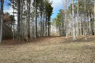 265 Evans Dr, Buchanan, GA 30113 - Photo 98