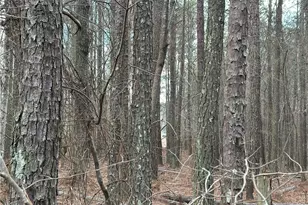 265 Evans Dr, Buchanan, GA 30113 - Photo 74