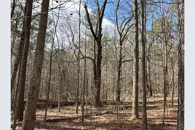 265 Evans Drive, Buchanan, GA 30113 - Photo 100