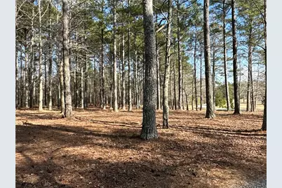 265 Evans Drive, Buchanan, GA 30113 - Photo 72