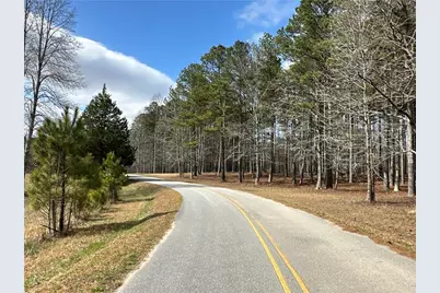 265 Evans Drive, Buchanan, GA 30113 - Photo 102