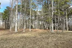 265 Evans Dr, Buchanan, GA 30113 - Photo 100