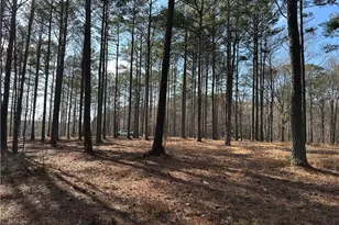 265 Evans Dr, Buchanan, GA 30113 - Photo 76