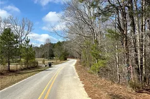 265 Evans Dr, Buchanan, GA 30113 - Photo 112