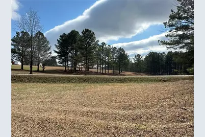 265 Evans Drive, Buchanan, GA 30113 - Photo 96