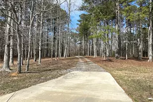 265 Evans Dr, Buchanan, GA 30113 - Photo 108