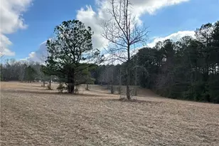 265 Evans Dr, Buchanan, GA 30113 - Photo 94