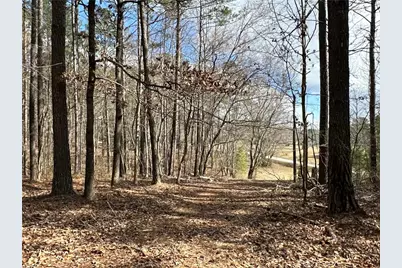 265 Evans Drive, Buchanan, GA 30113 - Photo 98