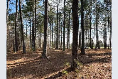 265 Evans Drive, Buchanan, GA 30113 - Photo 74