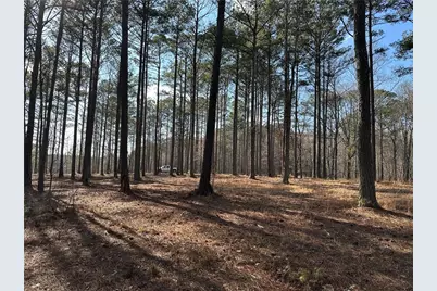 265 Evans Drive, Buchanan, GA 30113 - Photo 70