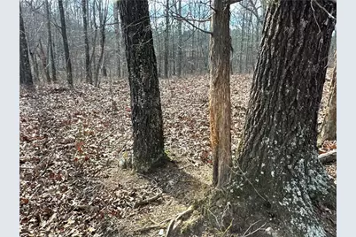 265 Evans Drive, Buchanan, GA 30113 - Photo 84