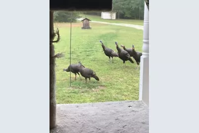 265 Evans Drive, Buchanan, GA 30113 - Photo 114