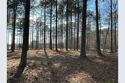 265 Evans Drive, Buchanan, GA 30113 - Photo 76