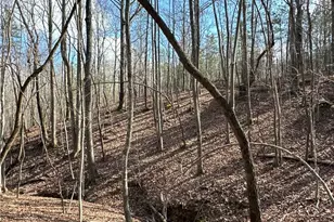 265 Evans Dr, Buchanan, GA 30113 - Photo 88