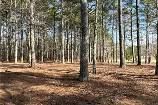 265 Evans Dr, Buchanan, GA 30113 - Photo 78