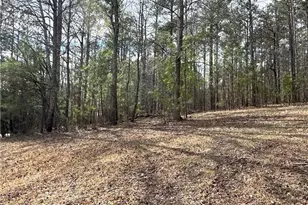 265 Evans Dr, Buchanan, GA 30113 - Photo 104