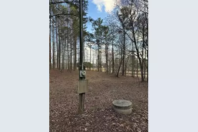 265 Evans Drive, Buchanan, GA 30113 - Photo 118