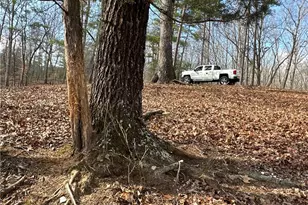 265 Evans Dr, Buchanan, GA 30113 - Photo 90